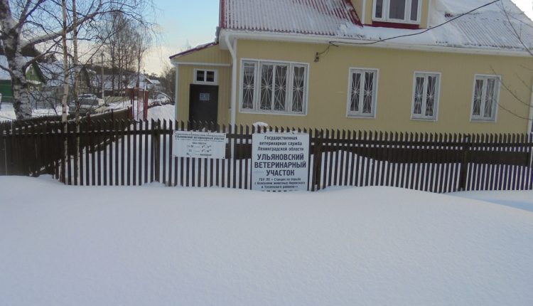 ульяновка
