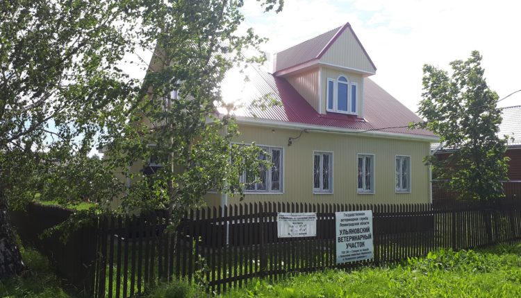 Ульяновка1 (2)