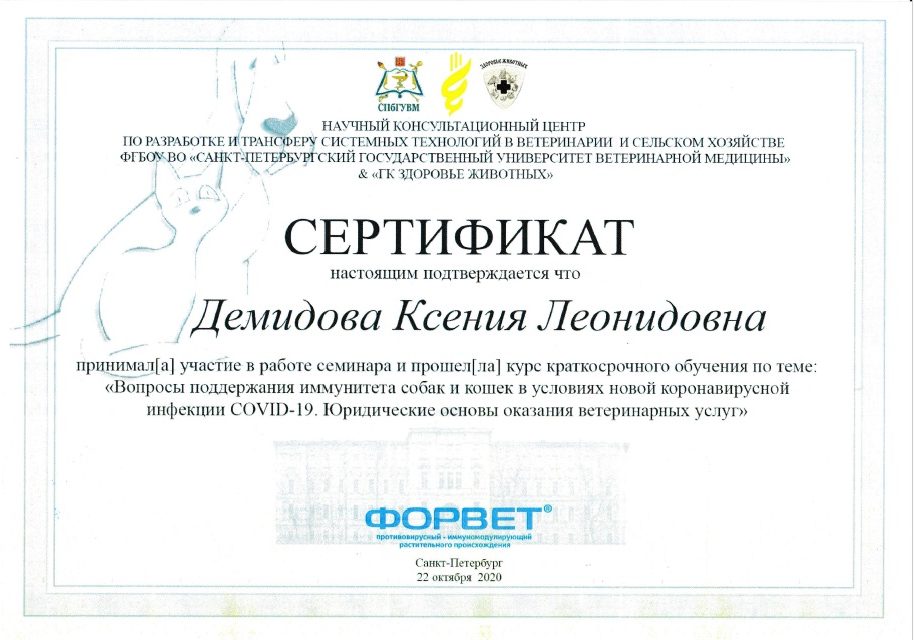 форве т4
