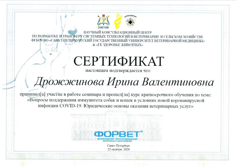 форвет 3