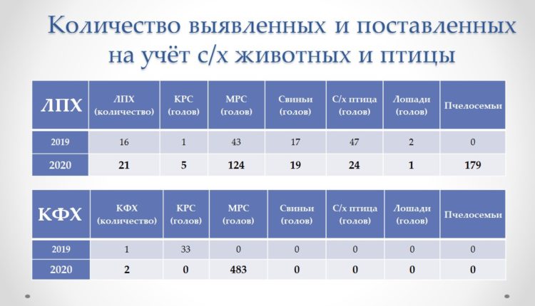 Скриншот 30-03-2021 120857