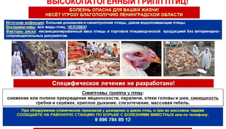 Скриншот 30-03-2023 164635