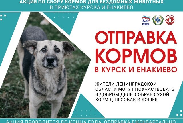 корма