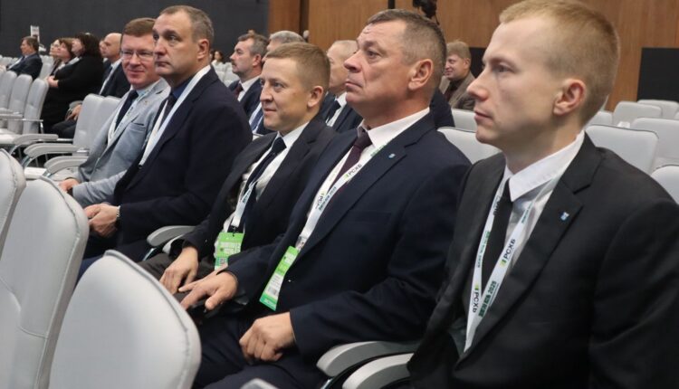 золотая осень 5