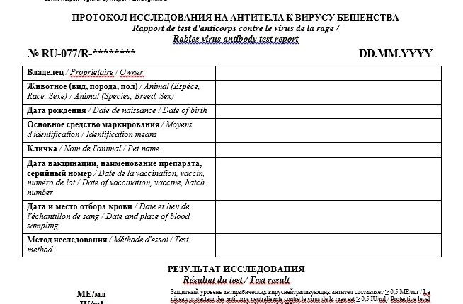 бешенство 2