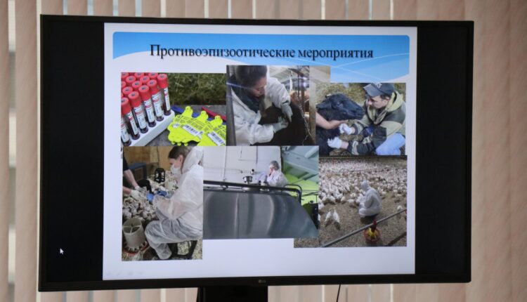 Mqpg-0OXyo3PHJs6yyV1zoAvV8pjYam9RFjrE764tkNH1SqMuiR_Z3lBWcSZfc5XaUTtL58QE3LUwoQOzGs66nNV