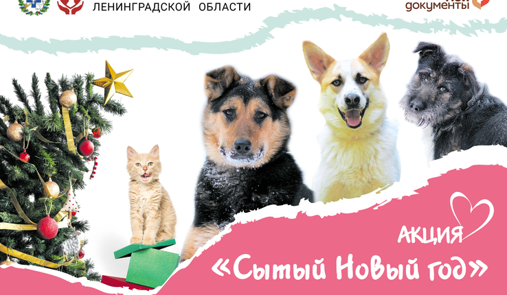 a42f055bbc7685b67198aeef6a47186e