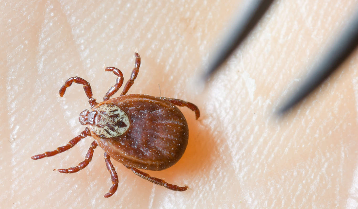 1d812fd64c37c23c560d5b0c7049378f