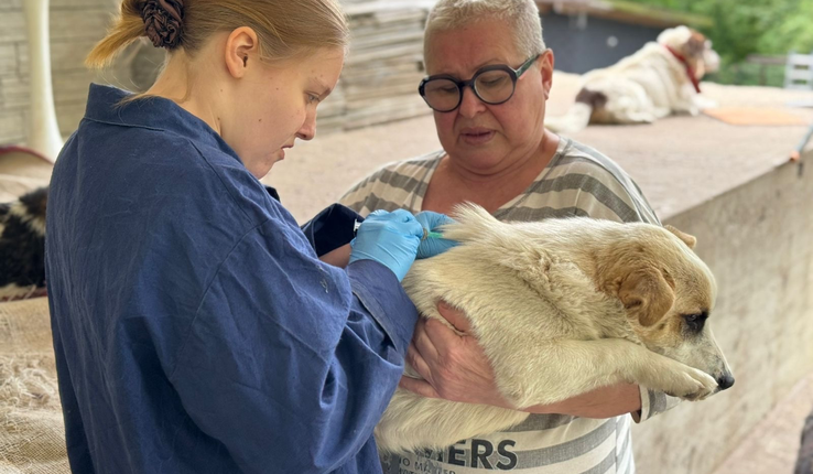 b138fbe997267babcab79fb1aef4c7c6