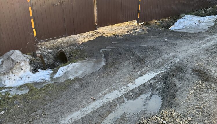 Фото_3_Собачьи_лазы