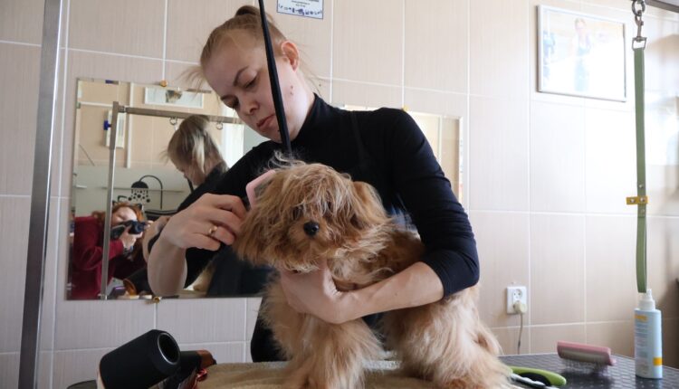 qXzY3SkuoygaxhWEFX8N-pVY7Brm4ws2jJnMRNRefLHl4W-1MlRo4OpEYKAaou74H2nTAaVYh-WVL67_5TzPp-fu