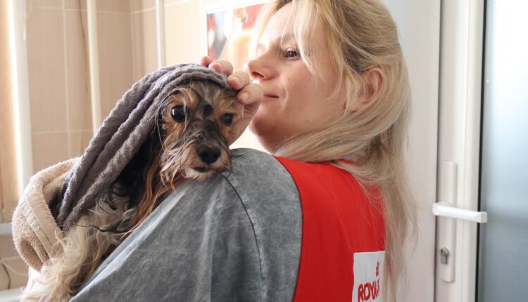 r1C3WYHi9bA0E3IoNpgK-2SGdrz-TkzeP6QvQHiNjyH4AYtgcDVbo7Z1twxvq67o21vhF-TAHYZRVuuA7hfhm_QD