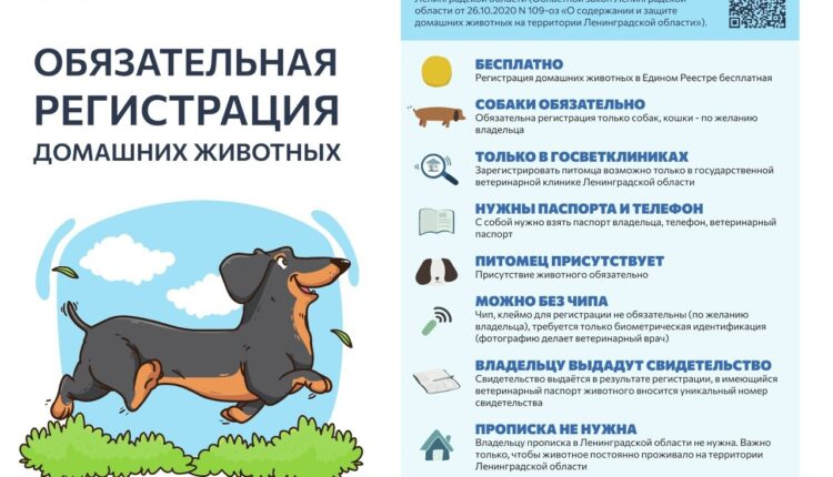 регистрация